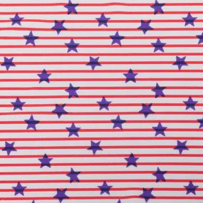 Bathing Suit Print - Stripes / Stars - White