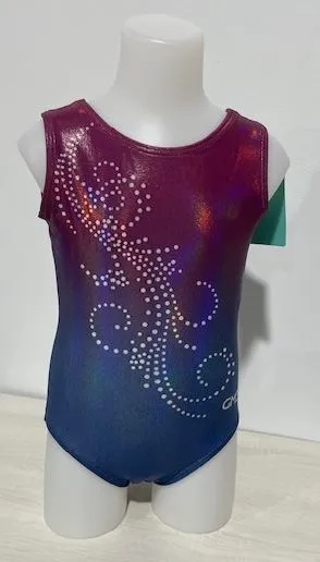 Swirl Ombre Leotard- SALE
